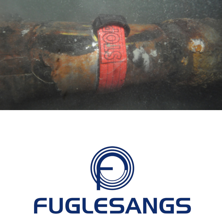 Seal a leak offshore